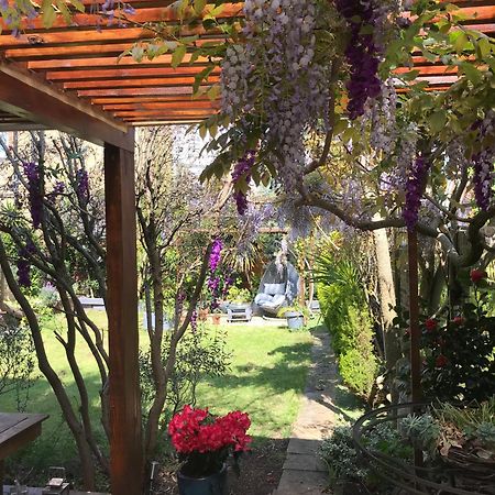 Londonhomegardens Екстериор снимка