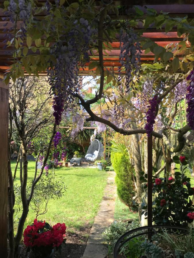 Londonhomegardens Екстериор снимка